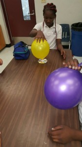 Broward Estates-STEM8